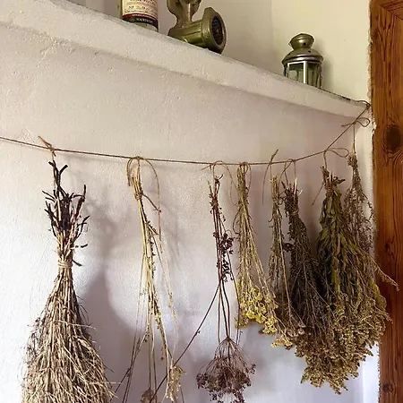 U Koziolka Appartement